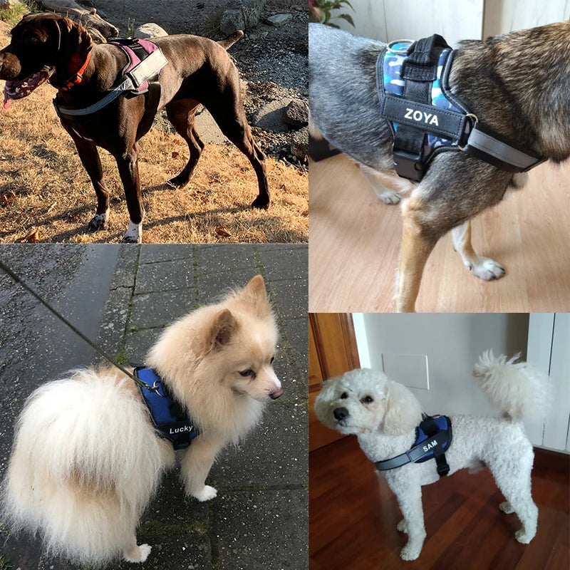 Personalized Pink Dog Harness