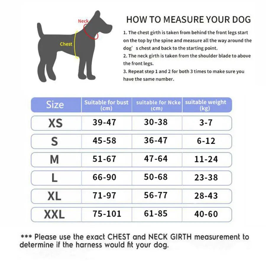 Personalized Black Dog Harness