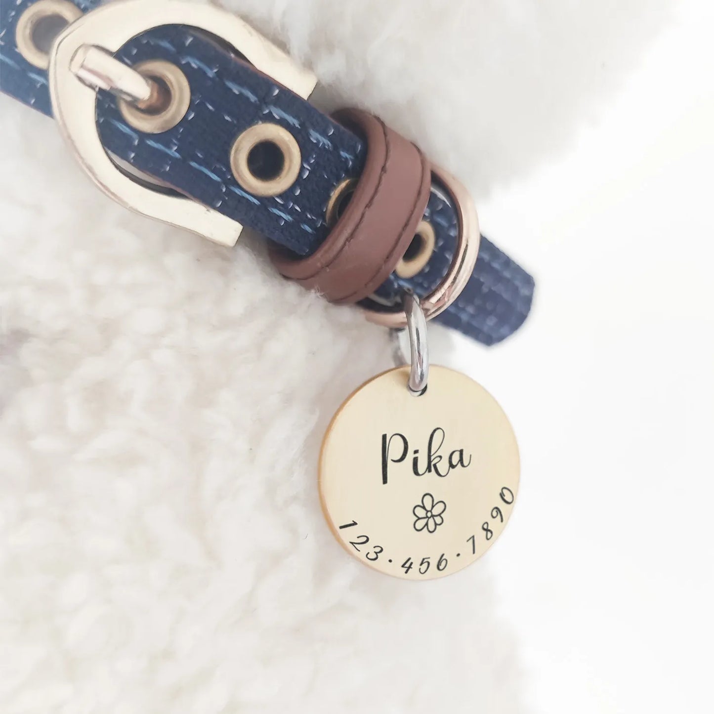 Personalized Brass Pet ID