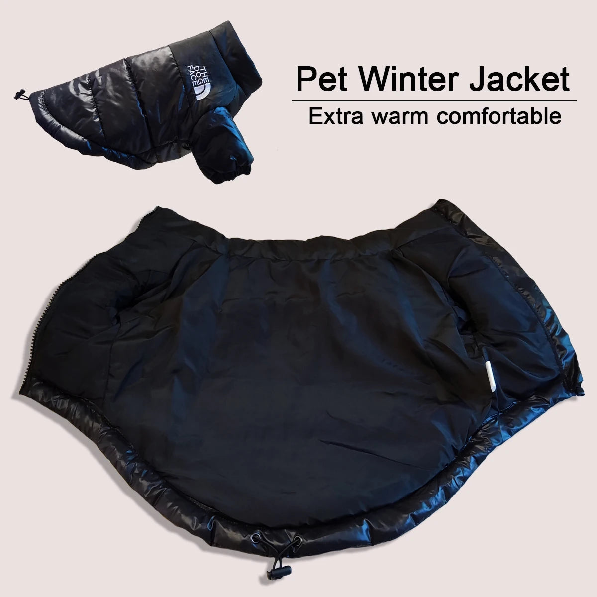 The Dog Face jacket
