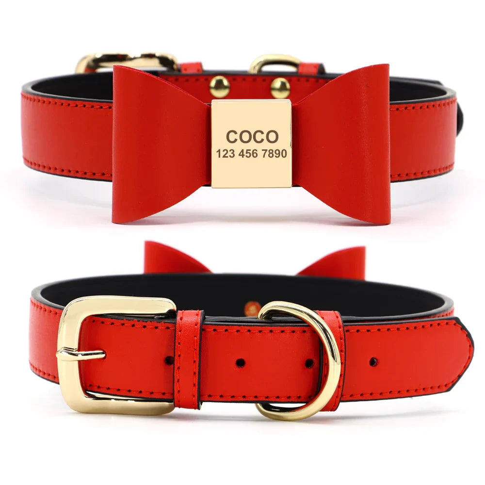 Personalized Blue Collar