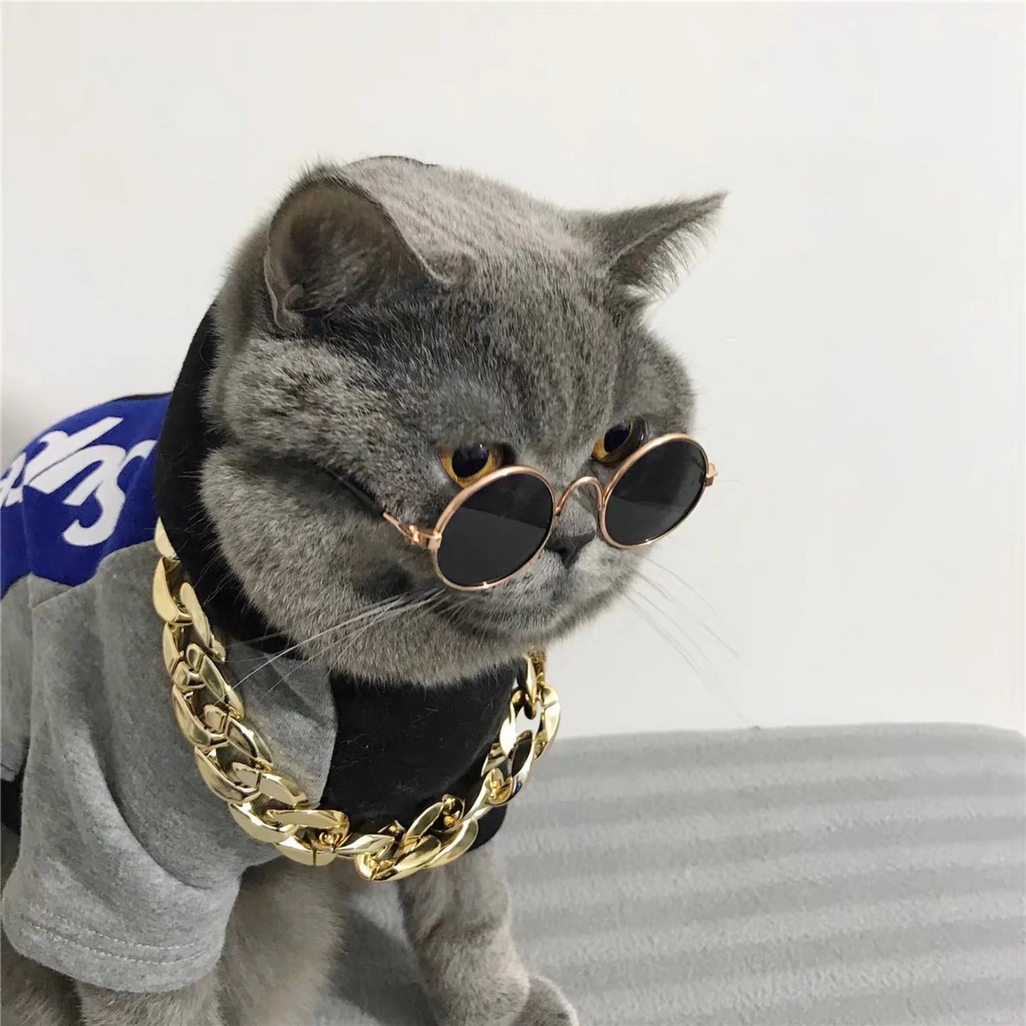 Vintage Pet Sunglasses