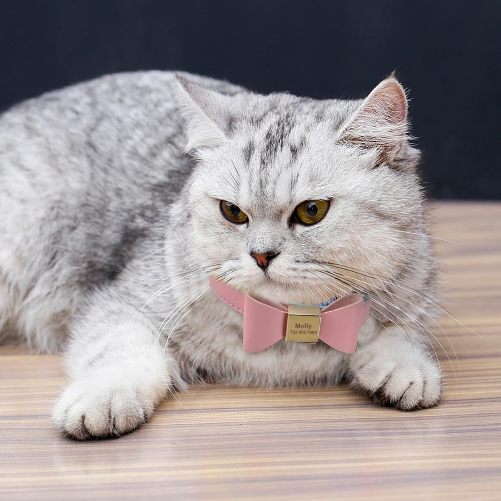 Personalized Red Collar