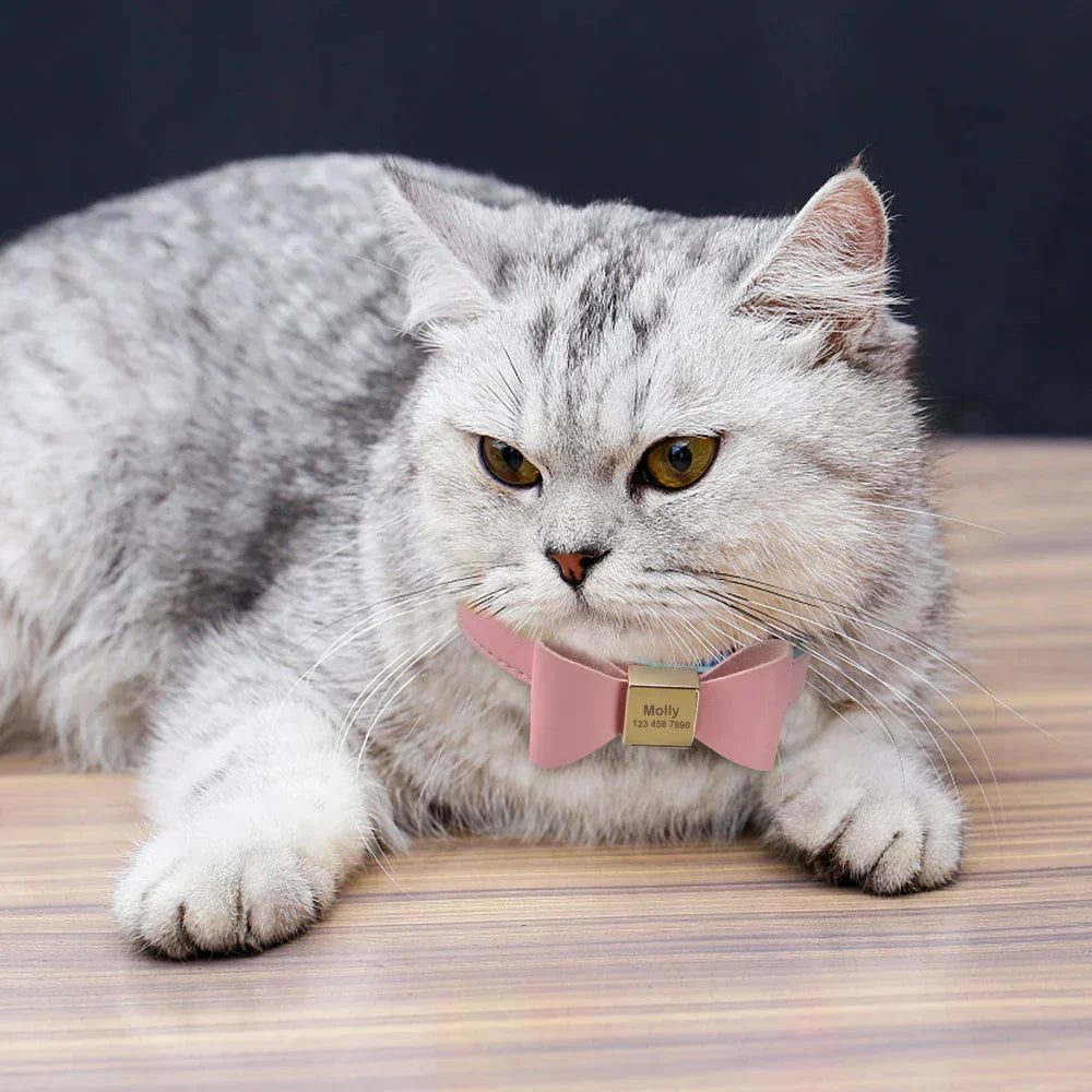 Personalized Brown Collar