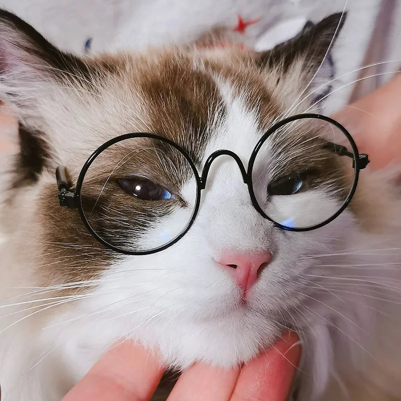 Vintage Pet Sunglasses