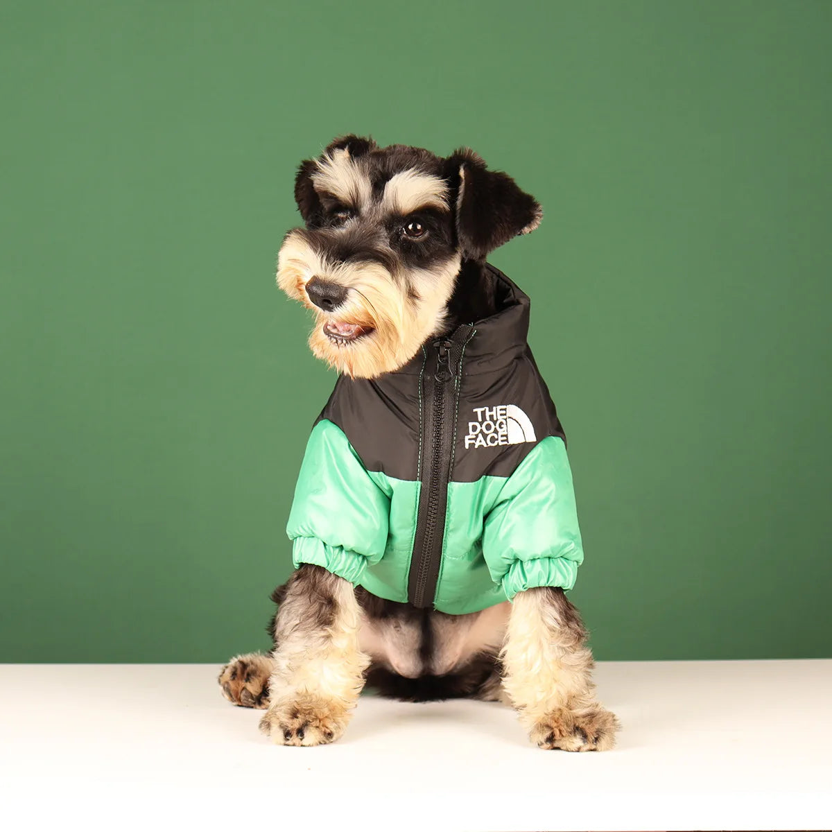 The Dog Face jacket