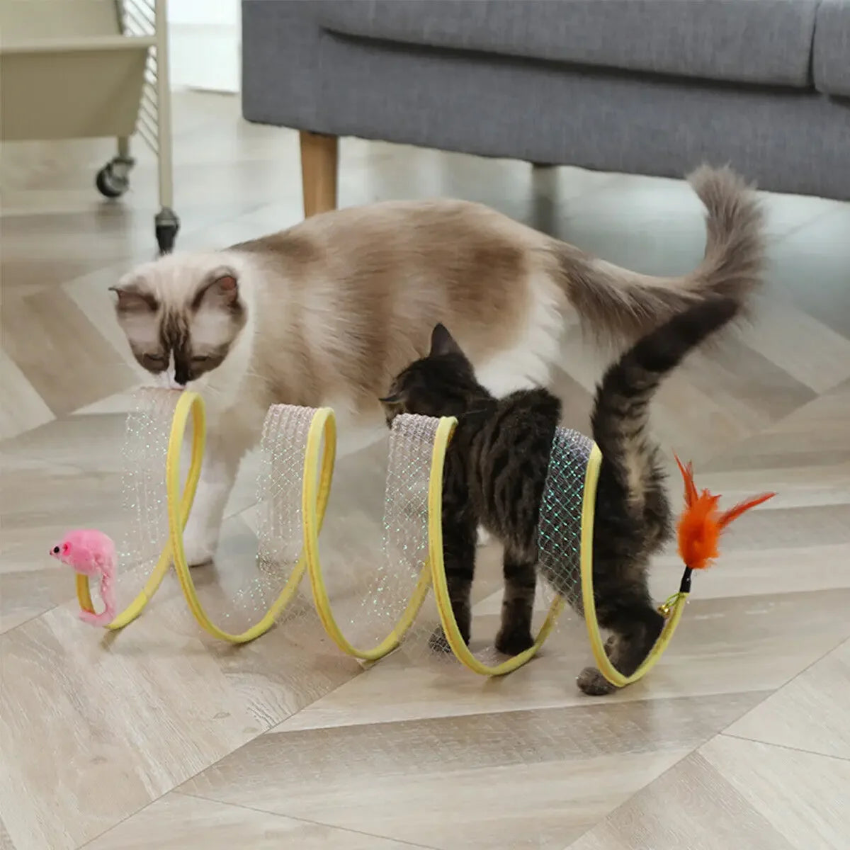 Springy Cat Tunnel