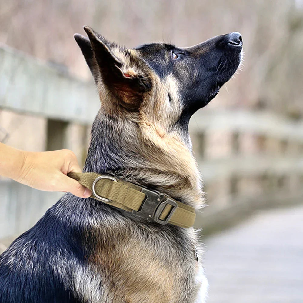 Durable Military Rose Collar