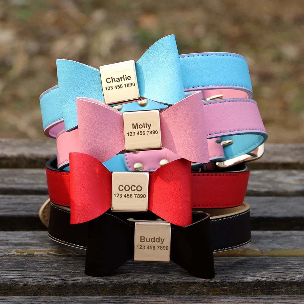 Personalized Pink Collar