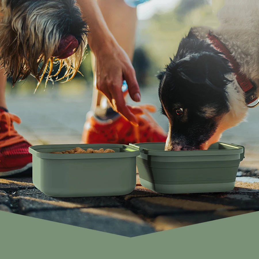 Folding Portable Pets Bowl