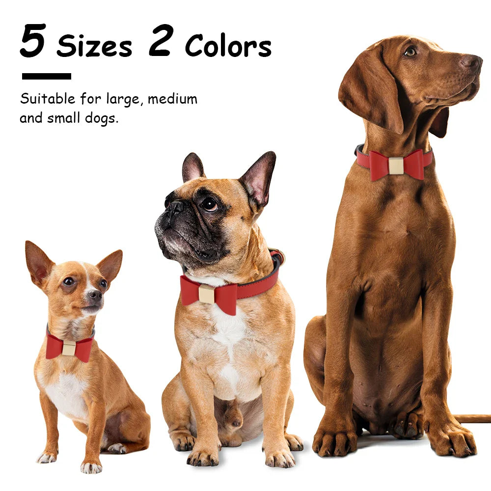 Personalized Pink Collar