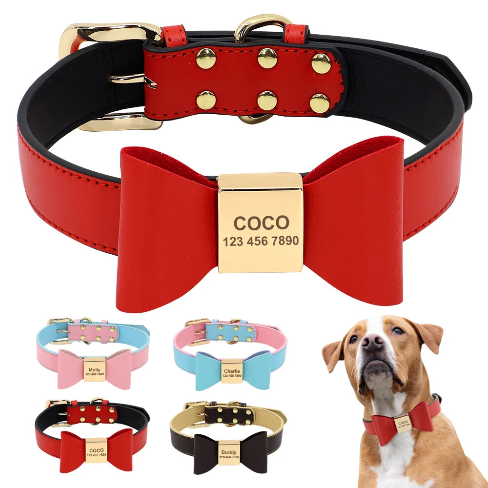 Personalized Red Collar