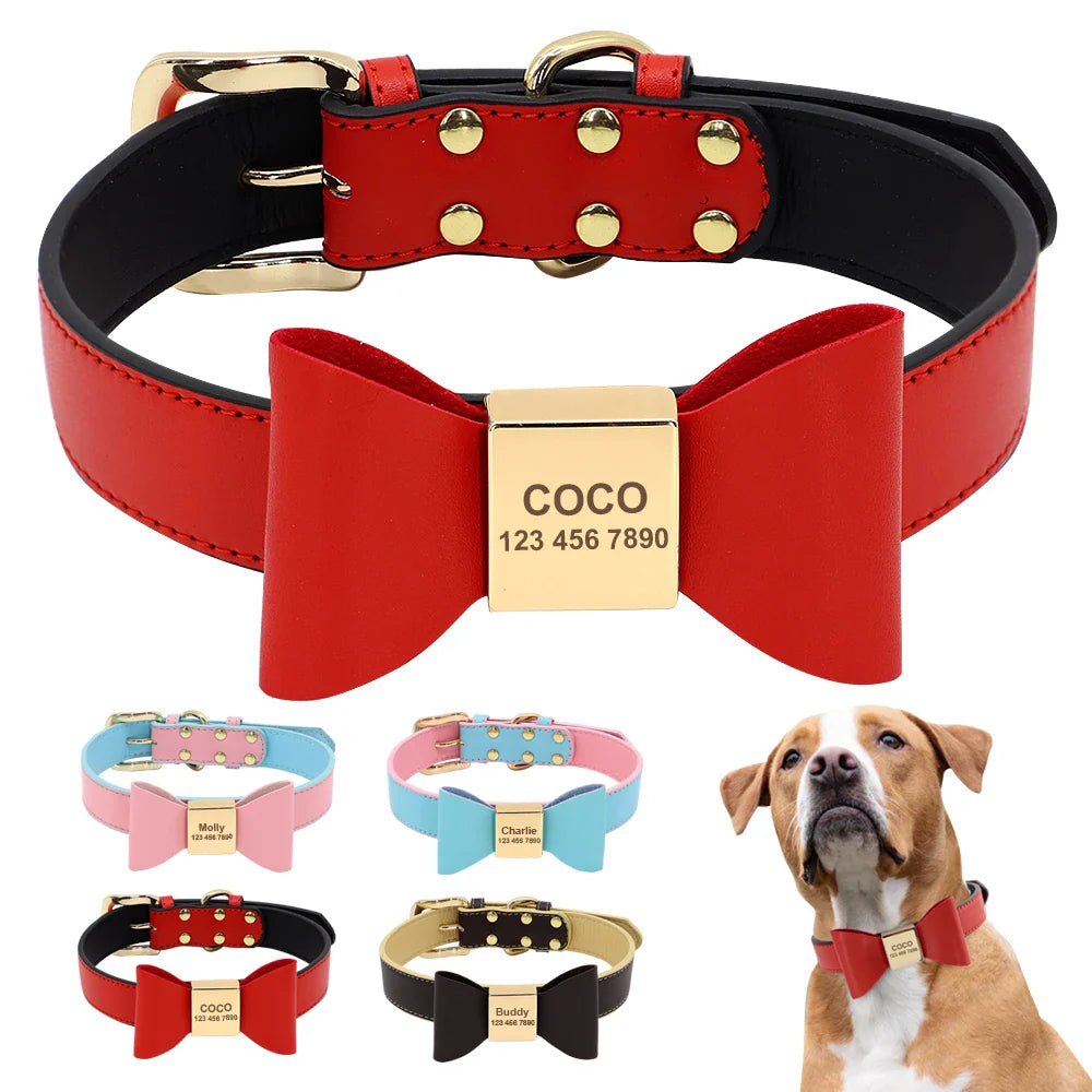 Personalized Pink Collar