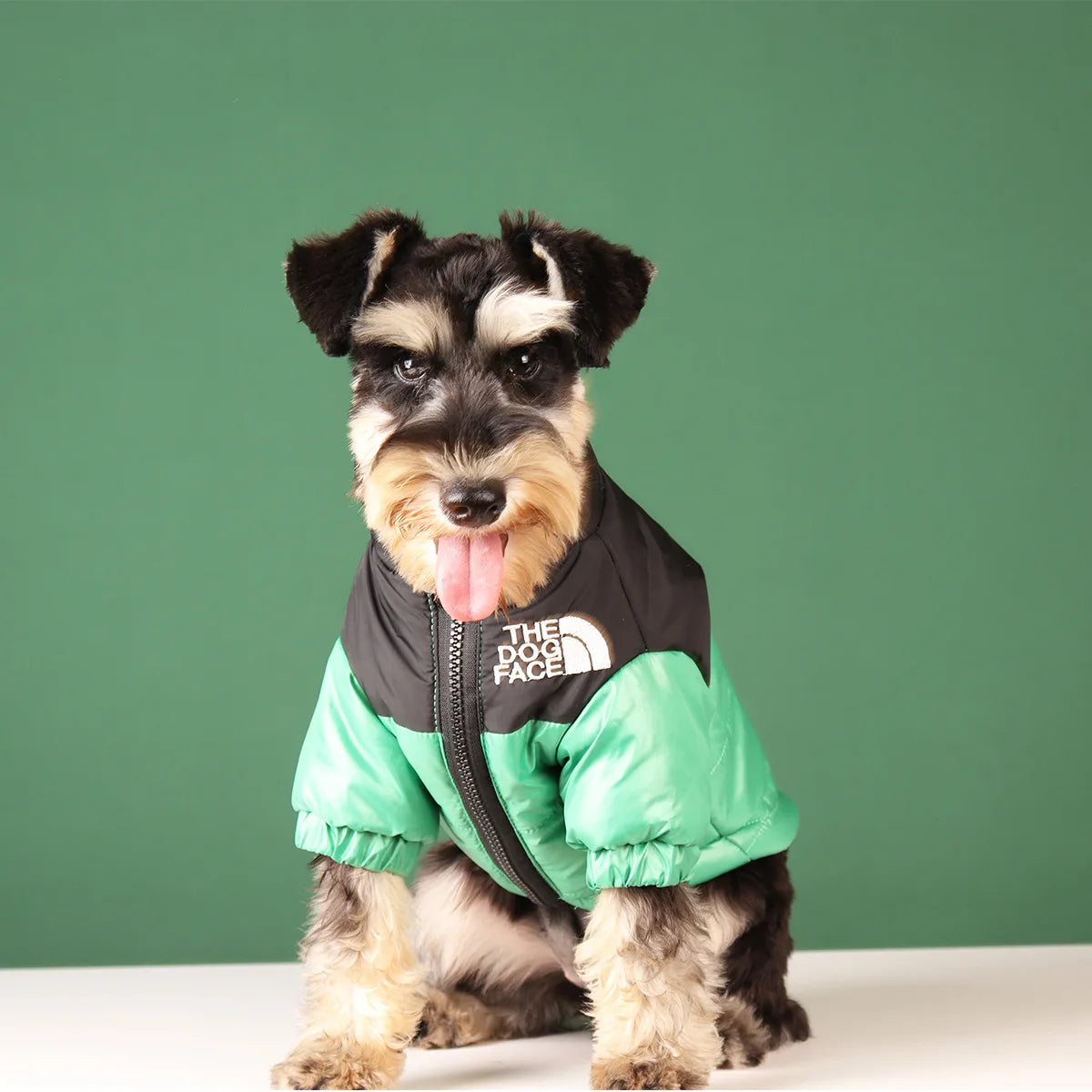 The Dog Face jacket