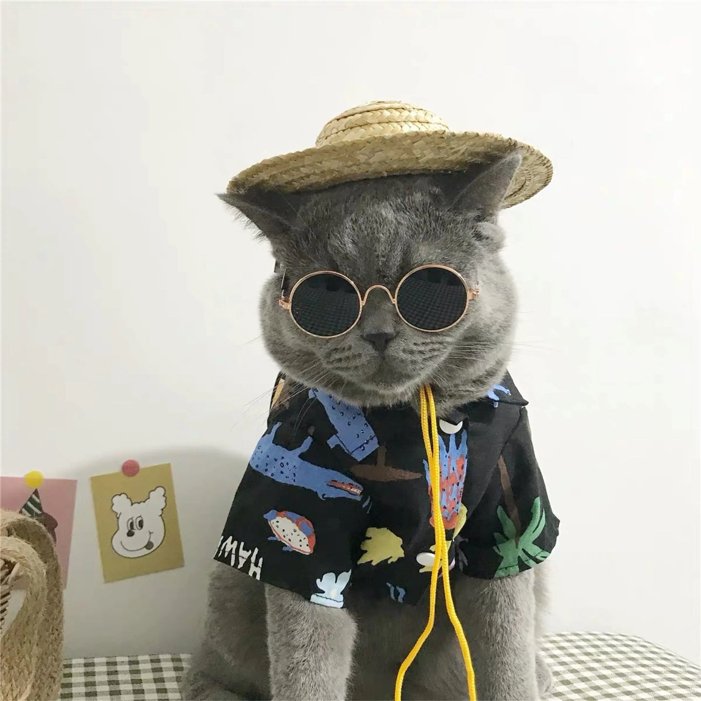 Vintage Pet Sunglasses
