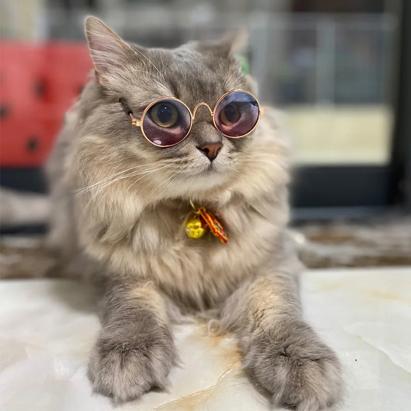 Vintage Pet Sunglasses