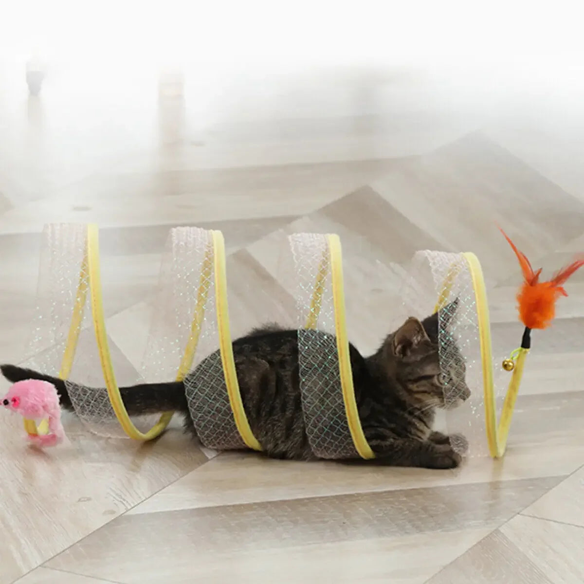 Springy Cat Tunnel