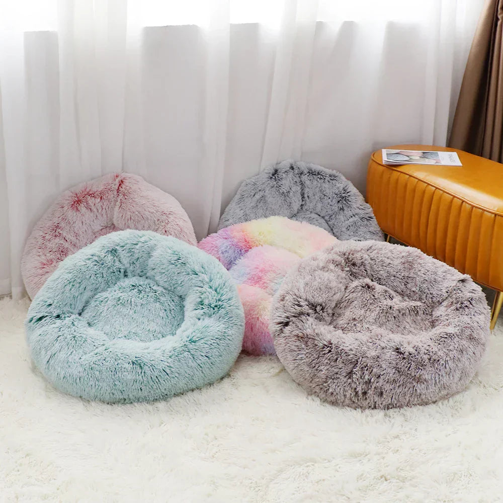 White Donut Bed