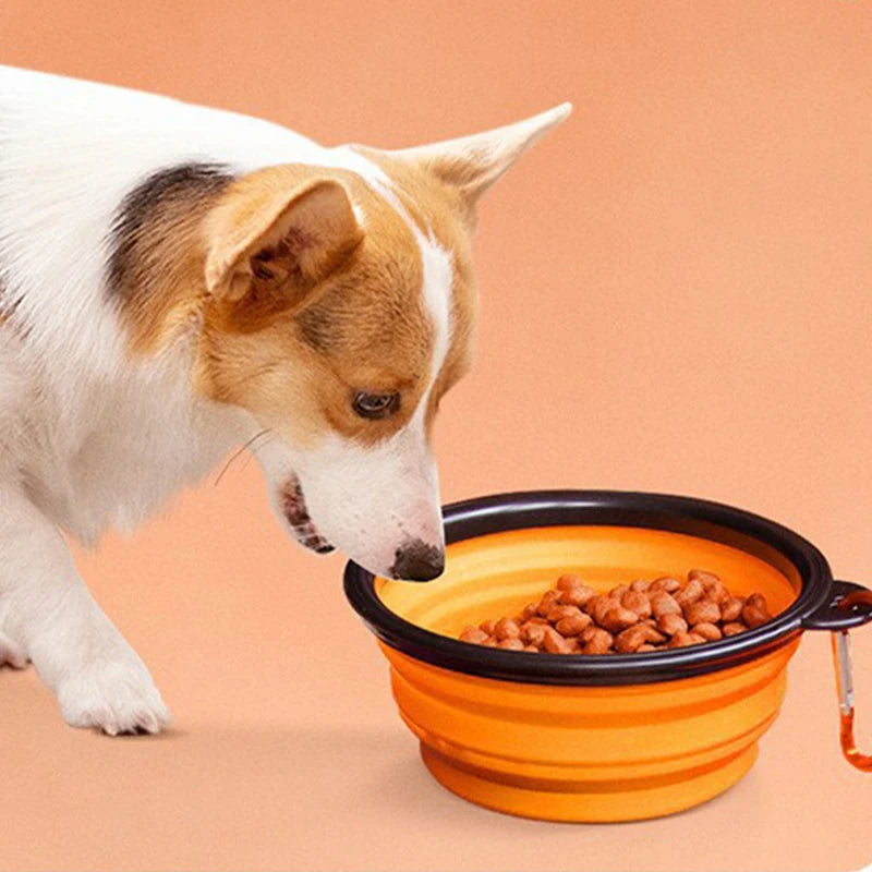 350ML/1000ML Portable Pet Bowl