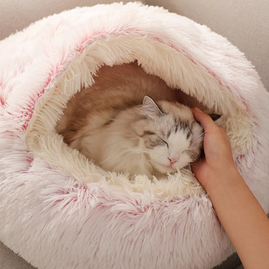 Plush Bed