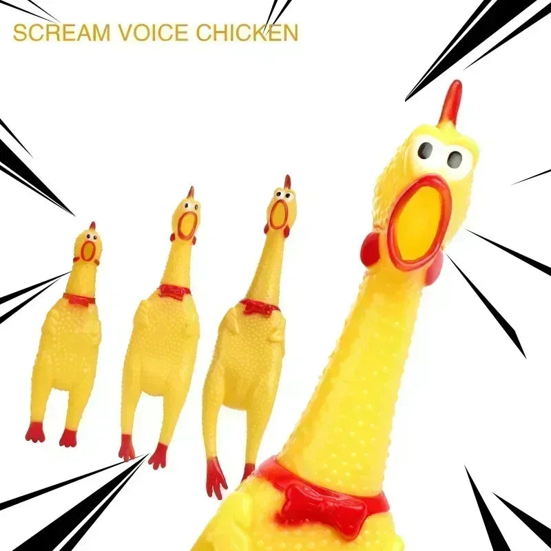 Squeaky Chicken Toy