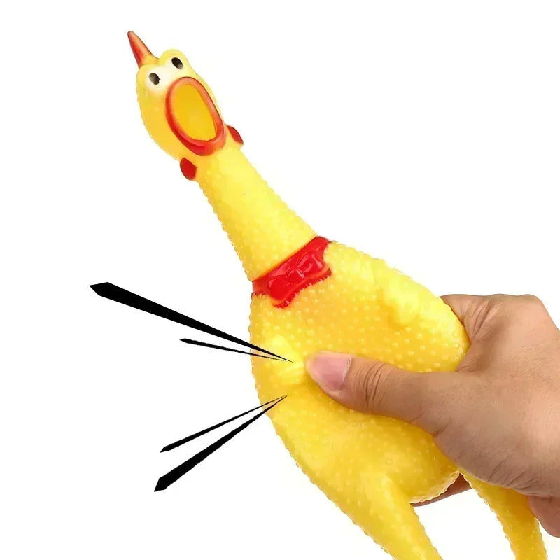 Squeaky Chicken Toy