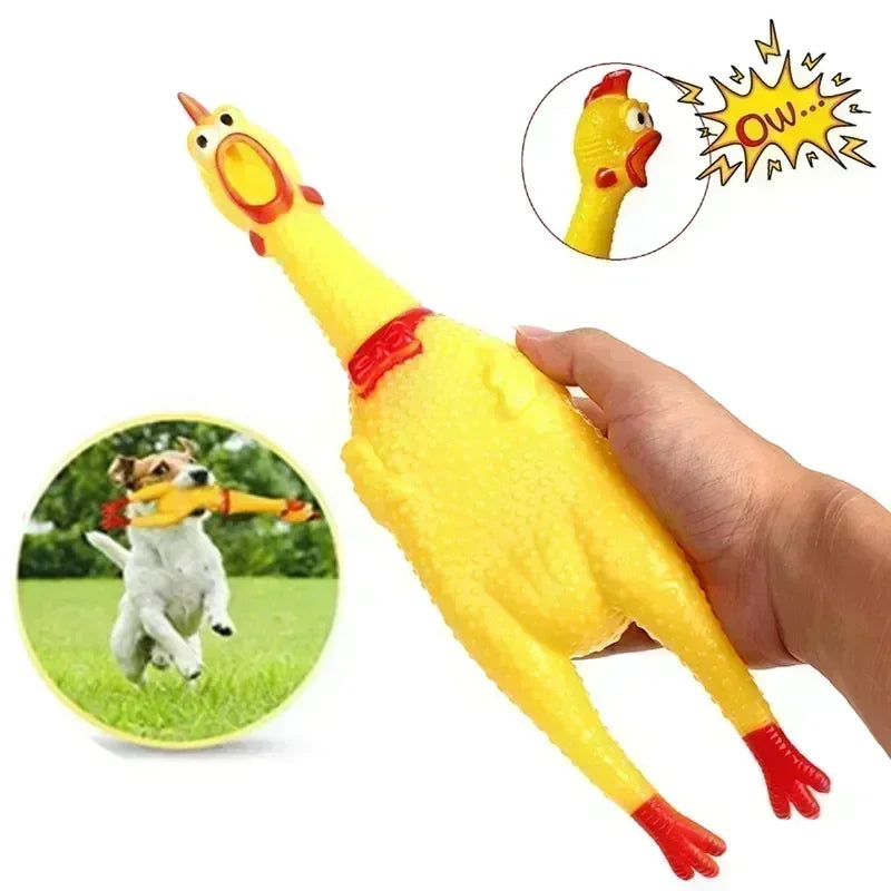 Squeaky Chicken Toy