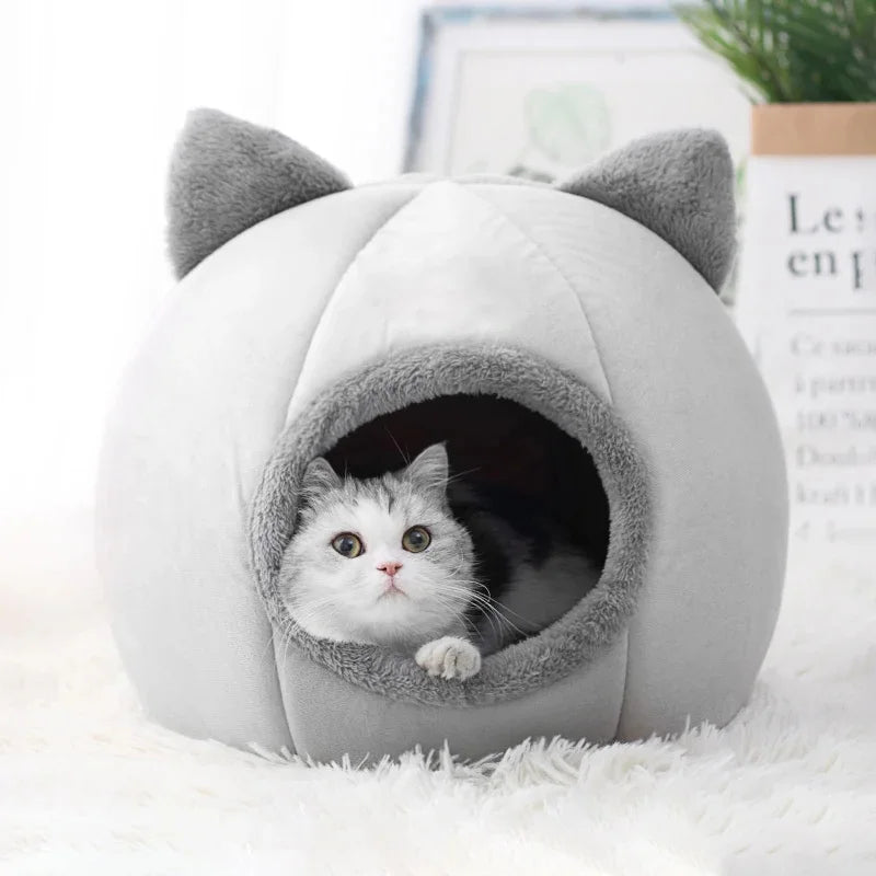 Cat Tent bed