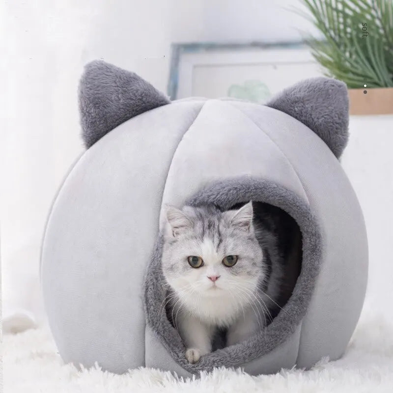 Cat Tent bed