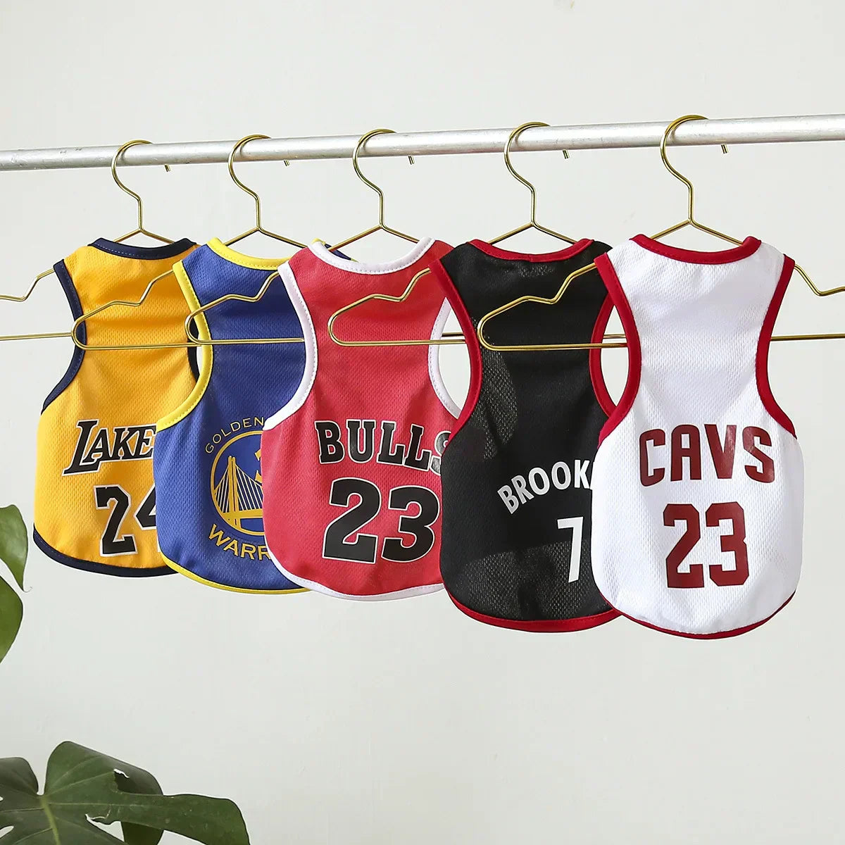 BULLS Jersey