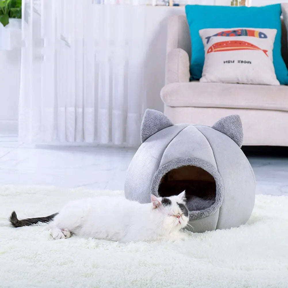 Cat Tent bed