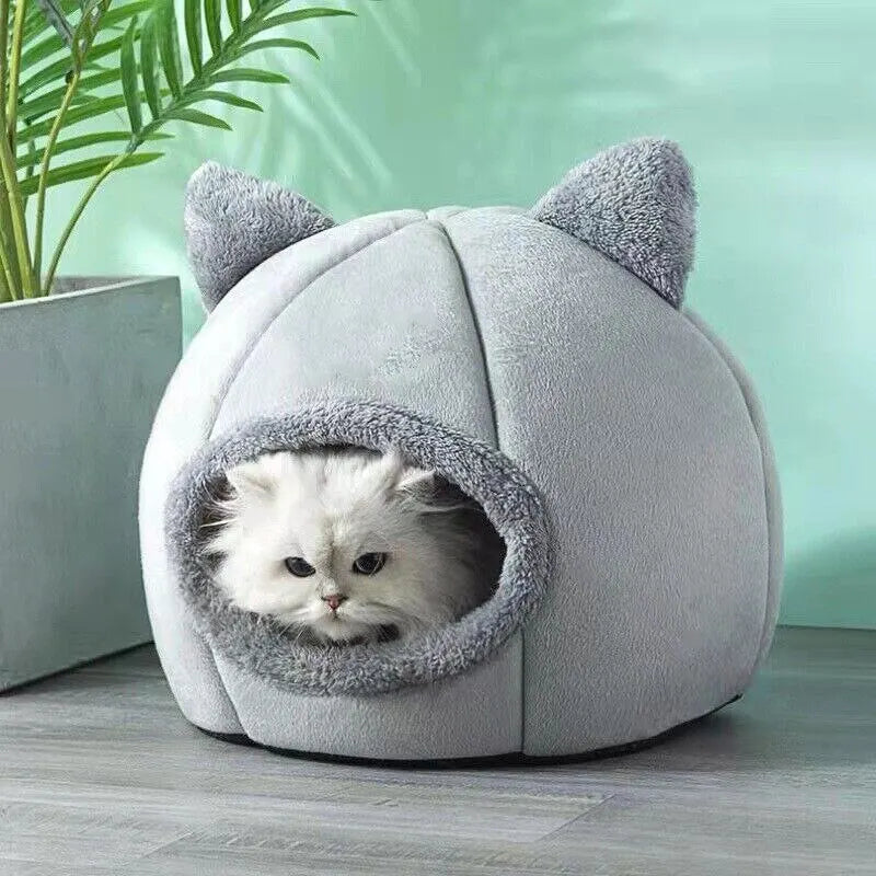 Cat Tent bed