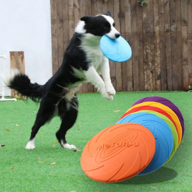 Bite-Resistant Dog Frisbee